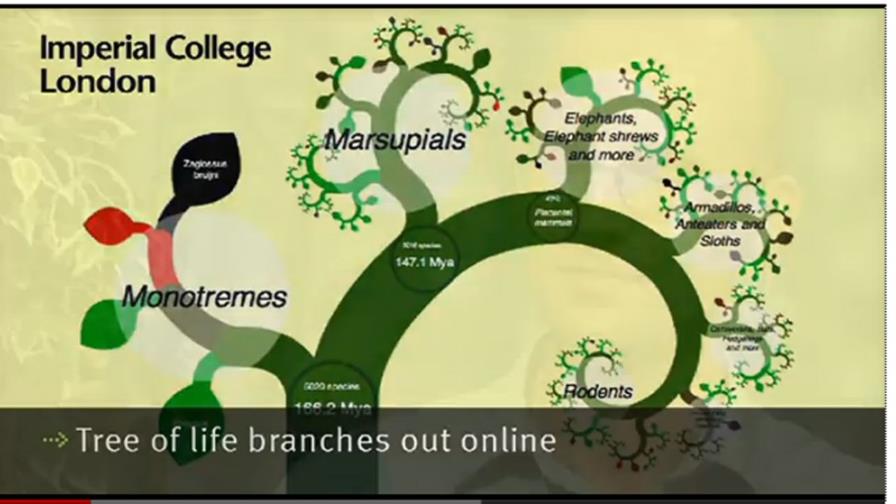 Crean el primer árbol de la vida digital con hasta 5.200 especies