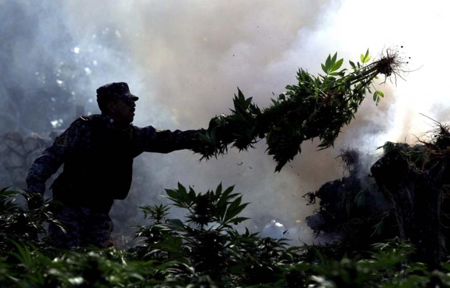 Izquierda propone legalizar marihuana en México