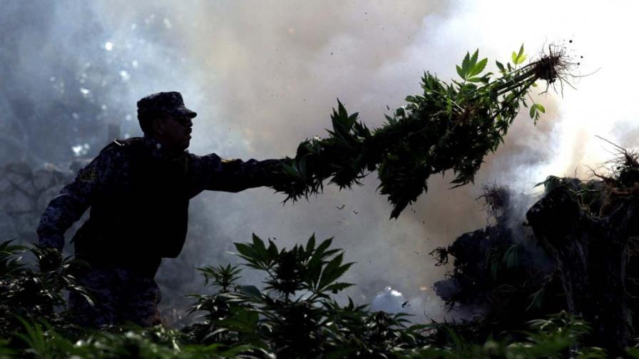 Izquierda propone legalizar marihuana en México