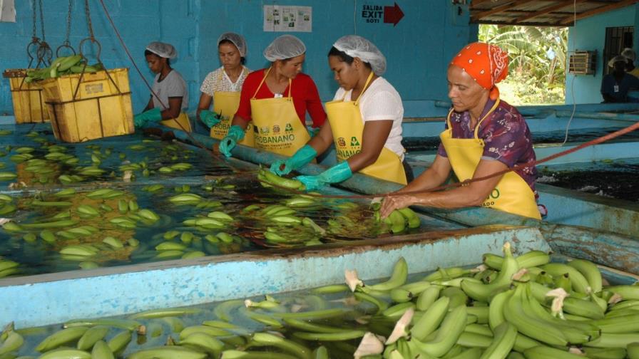 Bagricola destina más de RD$400 millones a microempresa campesina