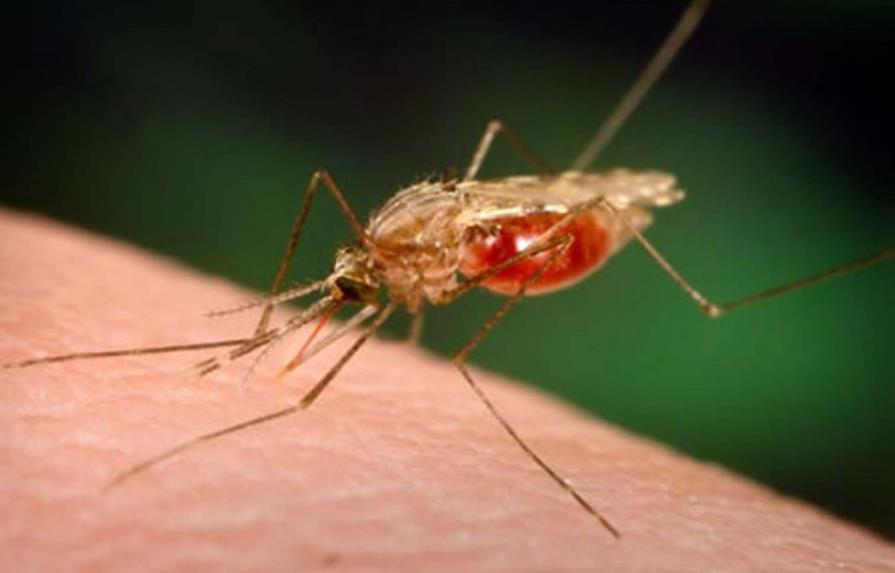 Crecen los casos de malaria en el país, según la OMS