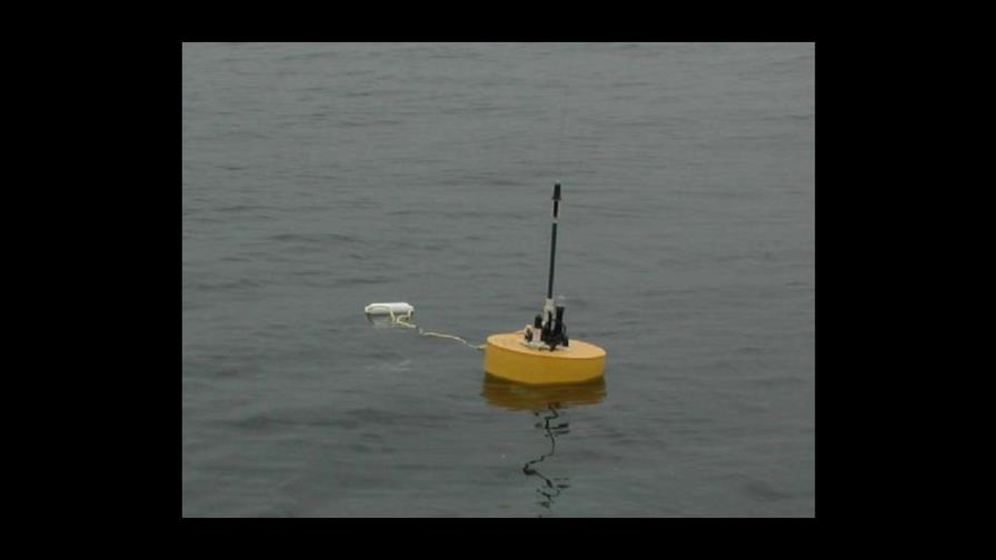 Instalan en Barahona un mareógrafo para detectar tsunamis