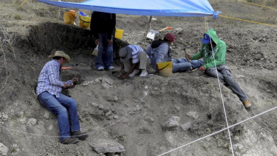 Hallan restos de mamut de entre 10,000 y 15,000 años de antigüedad en México