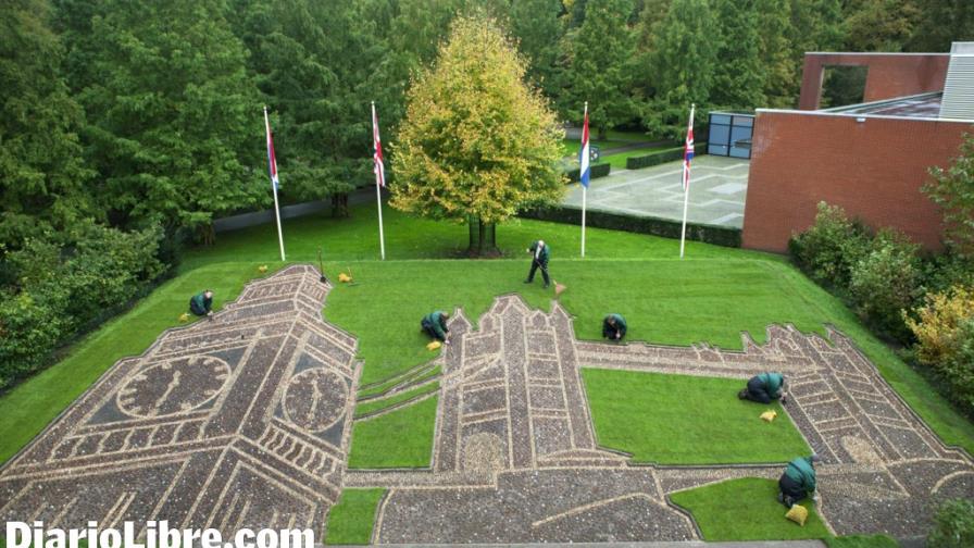 Construyendo paisajes con flores