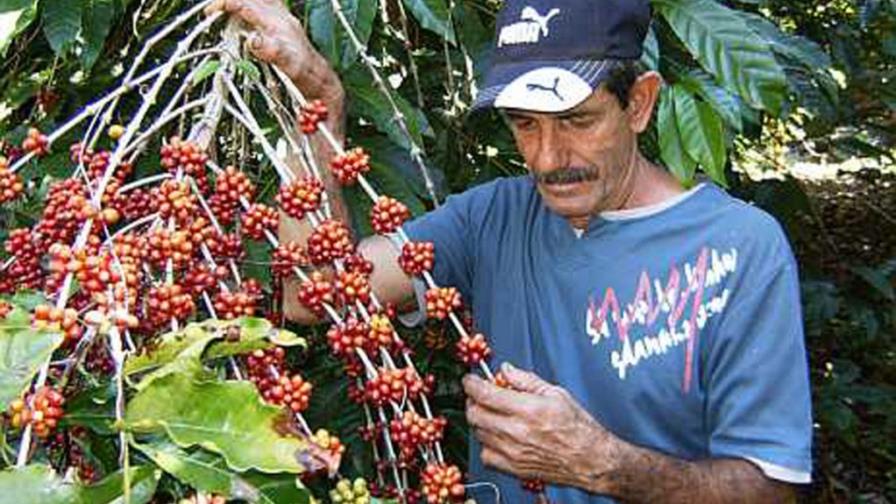 CEI-RD proyecta exportaciones este año de US$10,200 millones CEI-RD proyecta exportaciones este año de US$10,200 millones