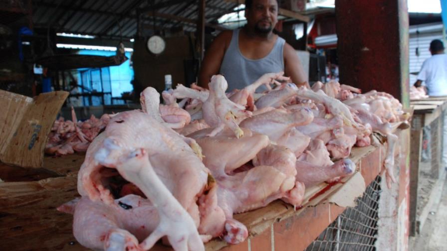 Dicen no es rentable negocio de pollos, por los altos costos