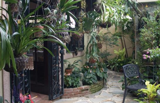 Jardines a domicilio
