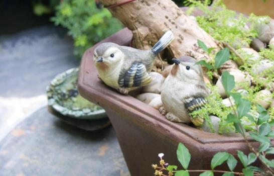 Jardines a domicilio