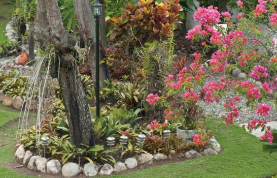 Jardines a domicilio