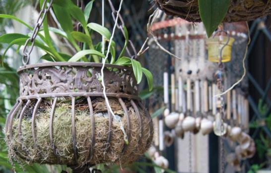 Jardines a domicilio