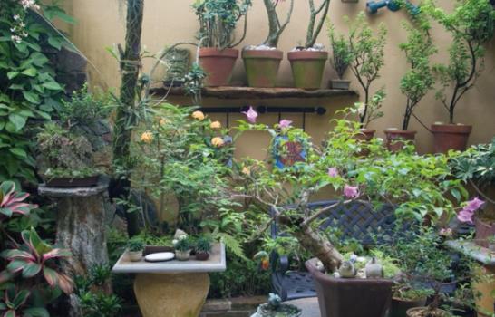 Jardines a domicilio