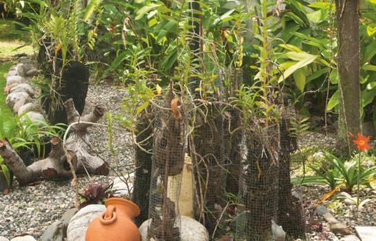 Jardines a domicilio