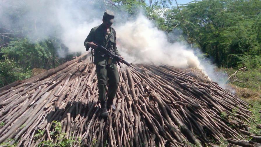Medio Ambiente incauta 1,500 sacos de carbón