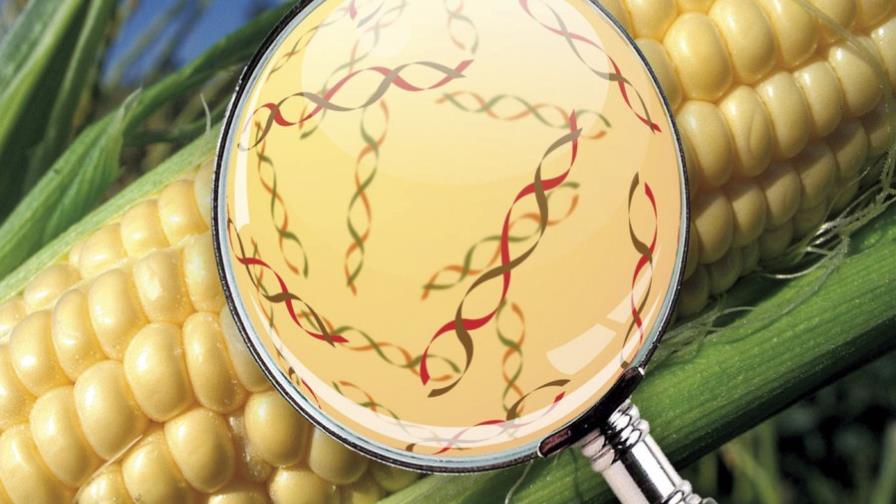 La investigación científica avanza en RD