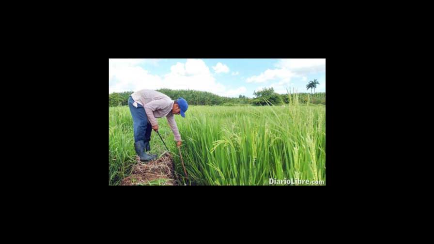 Government exonerates farmers from some taxes