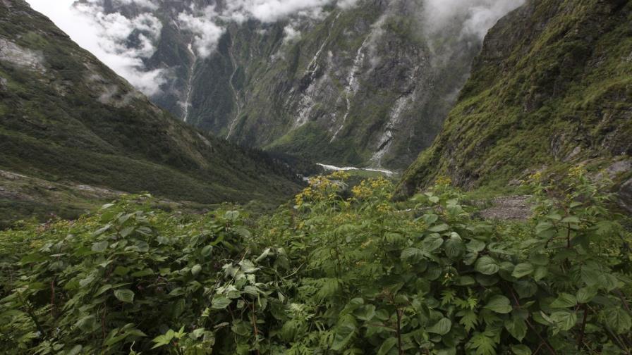 Costa Rica recibe de EE.UU financiación de proyectos verdes por deuda
