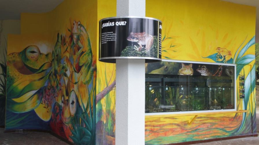 Zoodom, con el mejor anfibiario del Caribe Zoodom, con el mejor anfibiario del Caribe