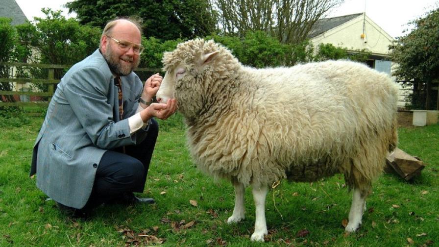 Quince años del anuncio de la clonación de la oveja Dolly