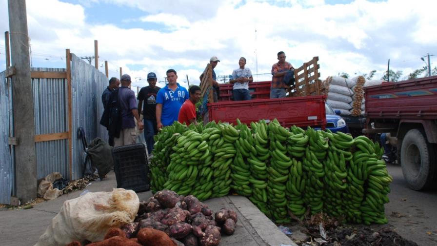 Comerciantes del Mercado Nuevo opuestos a logística