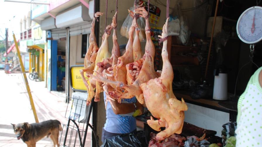 Productores subirán RD$5.00 a libra pollo