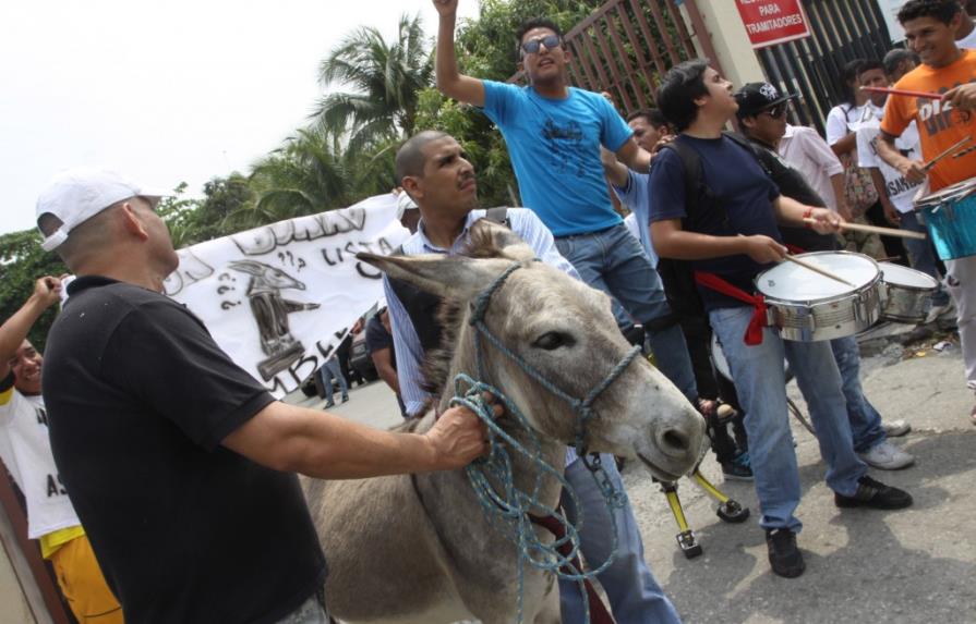 Ecuador: rechazan inscribir a burro como candidato