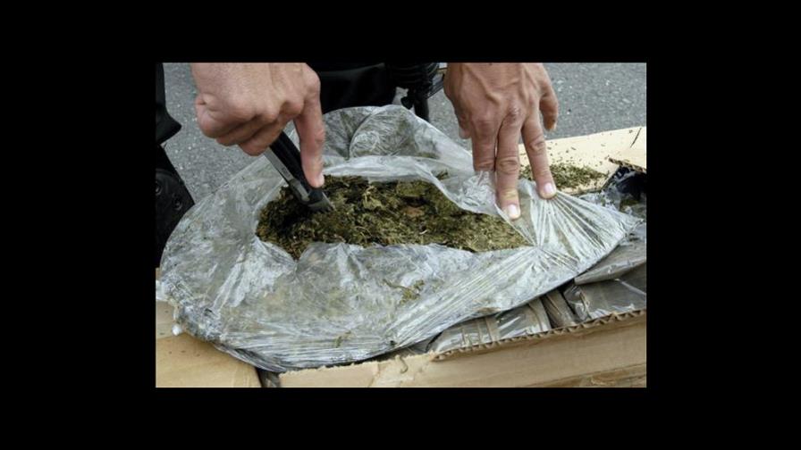 Policía colombiana decomisa ocho toneladas de marihuana