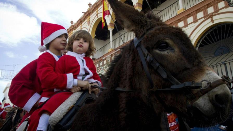 En burro para recordar Platero y Yo