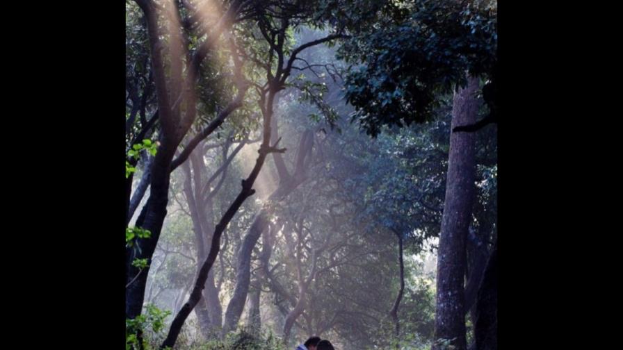 Menos biodiversidad, peor salud