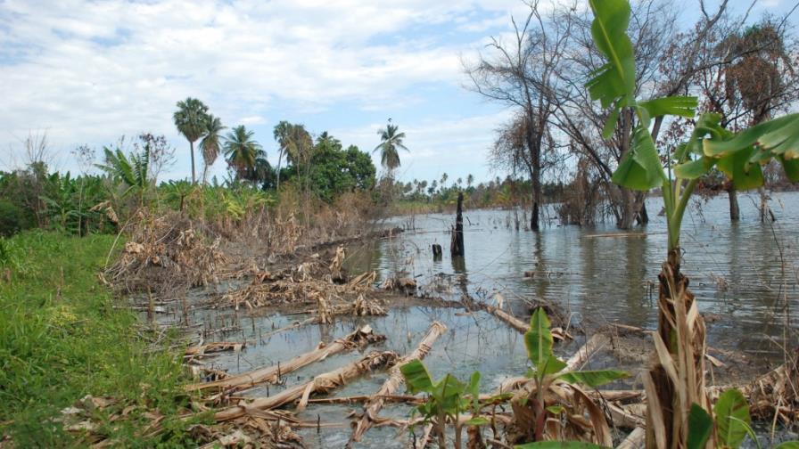 Agrodosa ha pagado $170MM en 7 años