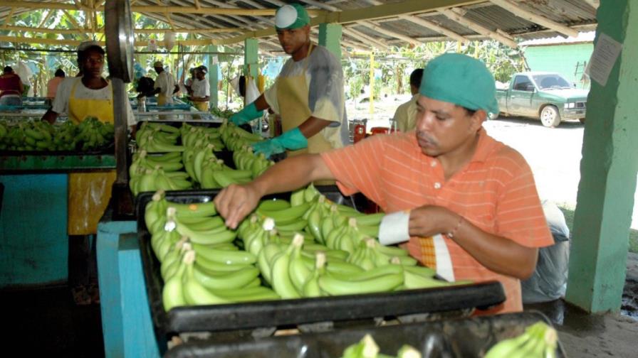 Productores preocupados por retención banano
