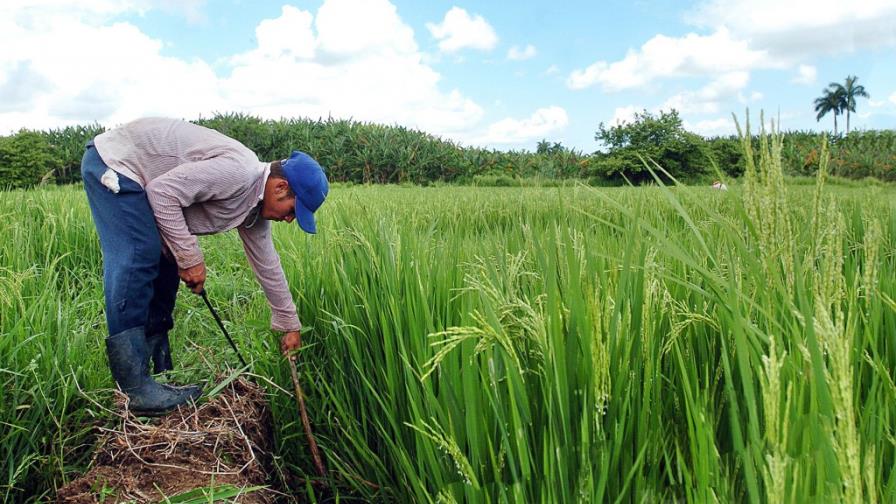 Propone usar fondos de pensiones para Bagrícola Propone usar fondos de pensiones para Bagrícola