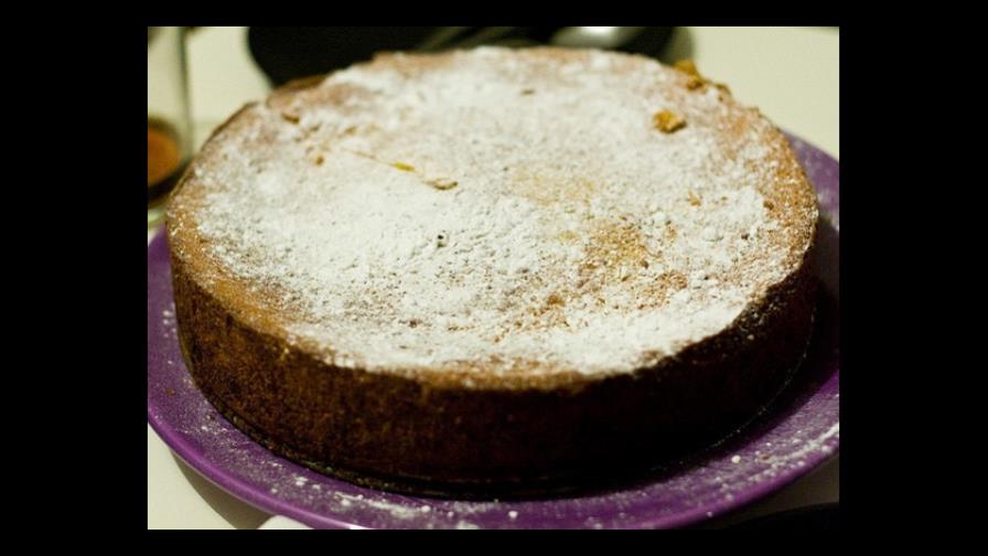 ¿Usan lentes los conejos?