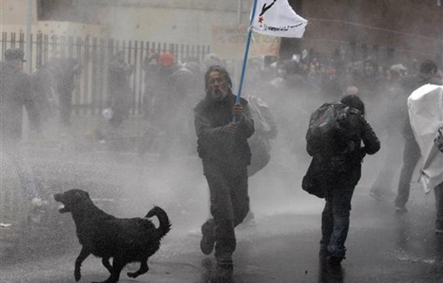 Perros callejeros se unen a las protestas en Chile