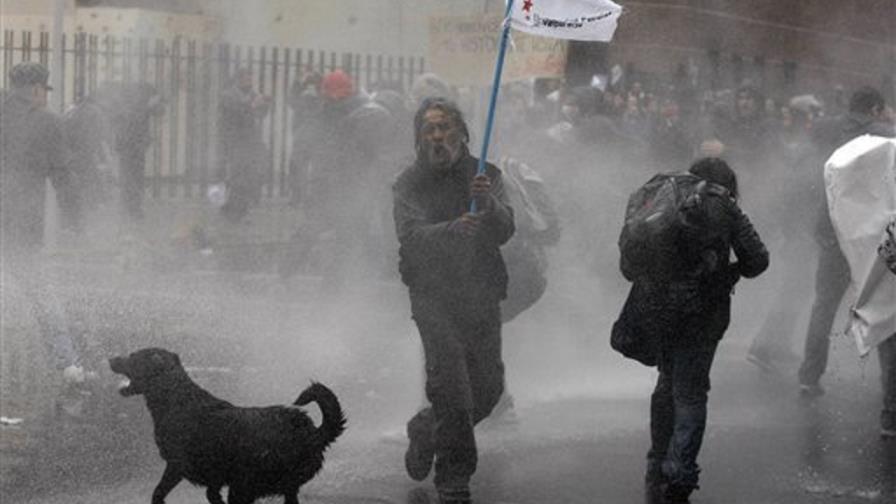 Perros callejeros se unen a las protestas en Chile