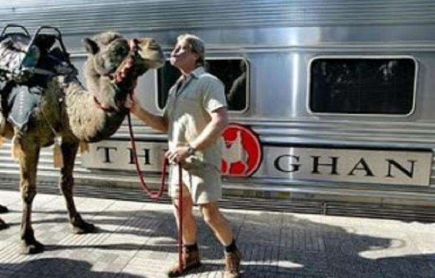 Camello de circo provoca caos vial en California