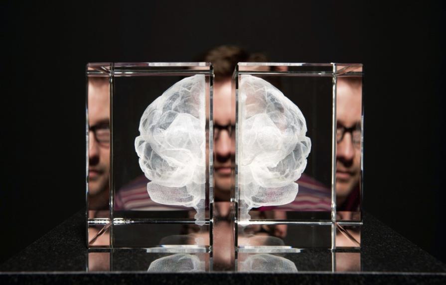 Los misterios del cerebro, en una exposición en Londres