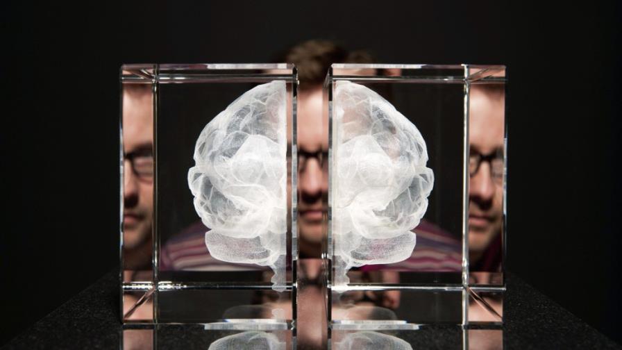 Los misterios del cerebro, en una exposición en Londres
