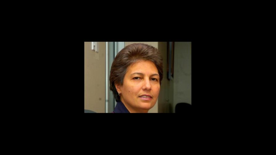 Politóloga dice que en las elecciones dominicanas prevalece una lucha desigual Politóloga dice que en las elecciones dominicanas prevalece una lucha desigual