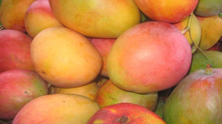 Anuncian Expo Mango 2012