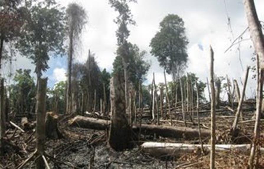 Someterán al alcalde de El Seibo acusado de talar bosque río Magarín