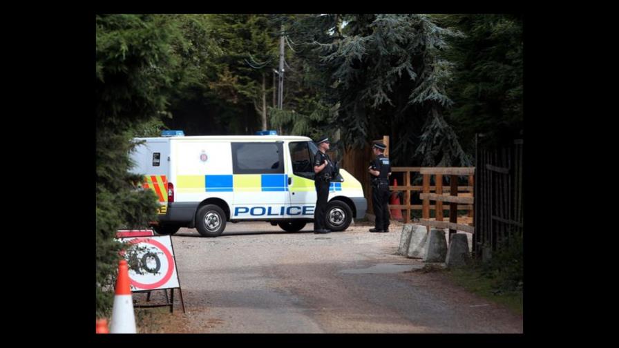 Policías británicos buscan león suelto, pero no hallan nada