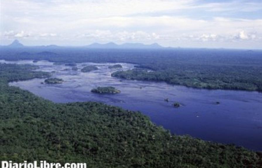La Amazonía perdió 1,206 kilómetros cuadrados de selva en cuatro meses