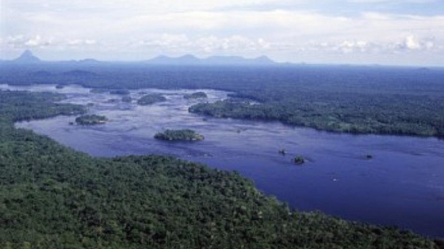 La Amazonía perdió 1,206 kilómetros cuadrados de selva en cuatro meses