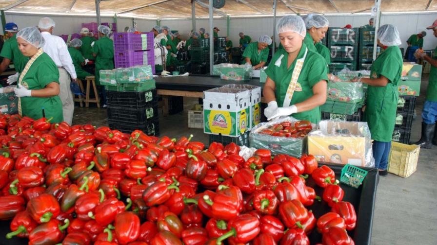 UE reduce revisión a cuatro productos RD