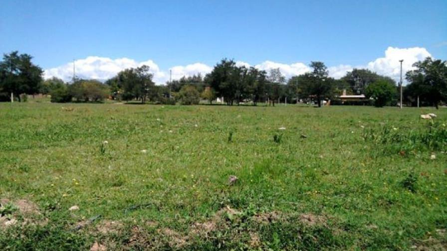 Racionalización del Impuesto a las Tierras Baldías