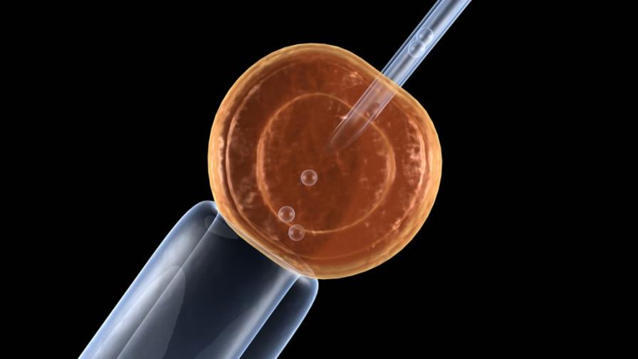 Células madre para ayudar a curar Alzheimer Células madre para ayudar a curar Alzheimer