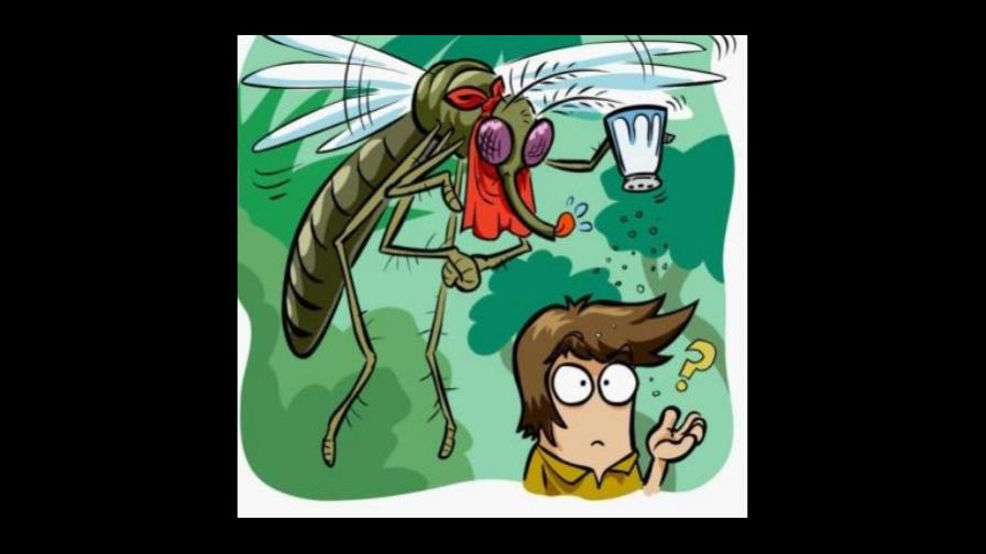 Suspenden docencia en una escuela por plaga de mosquitos