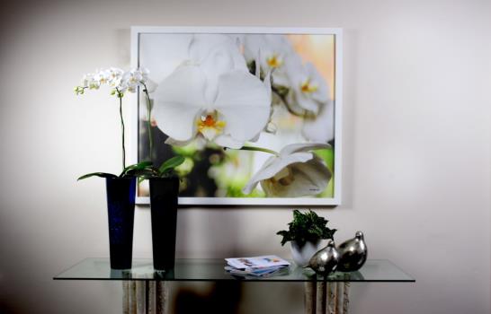 Vitico Cabrera y Marisel Fernández exponen ¨Orquídeas, palmeras y mar¨