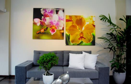 Vitico Cabrera y Marisel Fernández exponen ¨Orquídeas, palmeras y mar¨