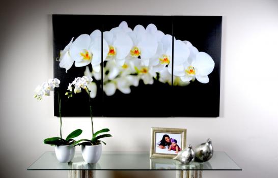 Vitico Cabrera y Marisel Fernández exponen ¨Orquídeas, palmeras y mar¨